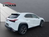 LEXUS UX 300 h F-Sport Design Technologie-Paket