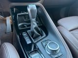 BMW X1 xDrive25e ++M Sport+AHK+el.Heckkl.+Glasdach++