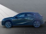 LEXUS UX UX250h*F-SPORT-D.*1HD*NAVI*SHZ 15J-GARANTIE*