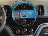 MINI Cooper SE Countryman ALL 4 LED+RFK+SHZ DW 0,5%