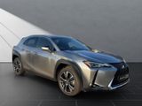 LEXUS UX 250h Style Edition SITZ&LENKRADHEIZUNG+DAB
