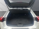 LEXUS UX 250h*FSPORT-D.*1.HD*ALLW.REIF** 15J-GARANTIE*