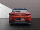 LEXUS UX 250h*F-SPORT-D*1.HD*ALLW.REIF** 15J-GARANTIE*
