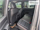 FORD Ranger Wildtrak 3,0 V6 240PS -El.Rollo-Standhzg.-20''Felgen-
