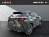 LEXUS NX 350h h 243 PS Executive Inter ieur + TechnoP