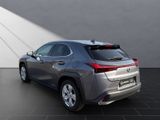 LEXUS UX 250 h*KAMERA*