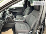 FORD Kuga Plug-In Hybrid ST-Line Allwetterreifen