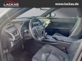LEXUS UX 250h 250 h 250h*LED*KAMERA* TOP*TWW*DAB*SERVI