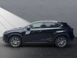 LEXUS NX 300 h*4x4*EXECUTIVE*AHK*ALLW.* 15J-GARANTIE
