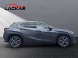 LEXUS UX 300 h F Sport Design Tech-Paket