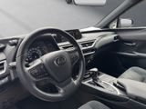 LEXUS UX 250h*STYLE*1HD*VELOURS* 15J-GARANTIE*