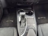 LEXUS UX 250h *lenkH*sitzH*Kamera*