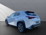 LEXUS UX 250h F-Sport Design CarPlay+NAVI+Sitzheizung