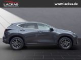 LEXUS NX 350h h Executive Interieur+Technologie Paket 
