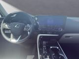 LEXUS NX 350h h 243 PS Executive Inter ieur Paket + Te