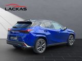 LEXUS UX 300h F-Sport E FOUR Schiebedach+360°+LEDER