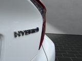 TOYOTA C-HR Hybrid Business Edition KLIMA*KAMERA*