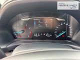 FORD Fiesta Cool & Connect Apple CarPlay Android Auto Musikstreaming DAB SHZ LenkradHZG Spurhalteass.