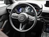 MAZDA MX-30 Basis e-SKYACTIV  NAVI+PDC+RfK+SHZ