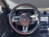 FORD Mustang GT Fastback Scheckheft WKR+SKR