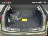 LEXUS NX 350h Executive Line 2.5*360° Kamera*Memorysit