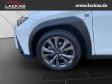 LEXUS UX 300h F-SPORT DESIGN*TOTW*FA CELIFT*GARANTIE*
