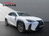 LEXUS UX 250 h F-Sport Design NAVI+CARPLAY+LENKRADH.