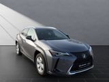 LEXUS UX 250 h*KAMERA*