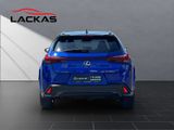 LEXUS UX 300h F Sport HuD+LEDER+MEMORY+SITZKLIMA