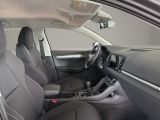 SKODA Karoq Balance Klima Rückfahrkamera Sitzheizung