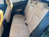 LEXUS UX UX250h*F-SPORT-D.*1HD*NAVI*SHZ 15J-GARANTIE*