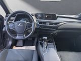 LEXUS UX 250 h Executive Line
