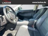 LEXUS NX 300 h Luxury 4x4 Panorama