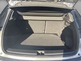 RENAULT Austral Techno Full Hyb. 200PS  +ALLW+CAM+SITZH+