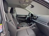 SKODA Karoq Tour Klima Rückfahrkamera Sitzheizung