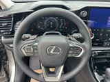 LEXUS NX 450h + Business E-FOUR