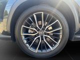 LEXUS NX 450h 450 h+ E-Four Luxury, AHK