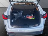 LEXUS NX 450h Executive,PANO,Interieur +Technik Paket