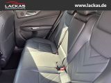 LEXUS NX 350h h 243 PS * Sitzklima Connect - Paket 360