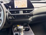 LEXUS UX 250h F Sport Design NAVI+KAMERA+ACC+LED+18"