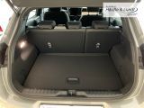 FORD Puma ST-Line LED 360 Kamera Allwetterreifen