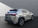 LEXUS UX 250h*FSPORT-D*1HD*ALLWR*CARPLAY* 15J-GARANTIE