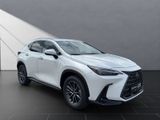 LEXUS NX 350h h 243 PS Executive Inter ieur +Techno Pk