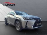 LEXUS UX 250h Style CARPLAY+NAVI+PDC