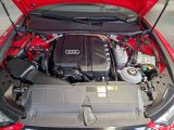 AUDI A6 Avant 55 TFSI e quattro sport S-tronic S-Line