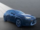 LEXUS UX 250h*1HD*SHZ*ALLW.* 15J-GAARANTIE