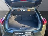 LEXUS UX UX250h*F-SPORT-D.*1HD*NAVI*SHZ 15J-GARANTIE*