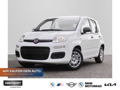 FIAT New Panda Pandina Pop