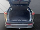 LEXUS NX 450h 450 h+ E-Four Luxury, AHK