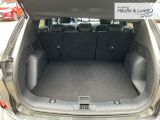 FORD Kuga Titanium Allwetterreifen AHK Rückfahrkam.
